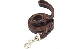 SFTORMAS Leather Dog Leash 6ftx3/4inch,Braided Leather Leash for Dogs,Soft Leather Training Dog Leash,Strong Leather Leash for Small Medium Large Breed Dogs,Brown