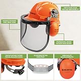 BLOSTM Chainsaw Safety Helmet 3 in 1 Orange Visor Ear Muffs Hard Hat view 3