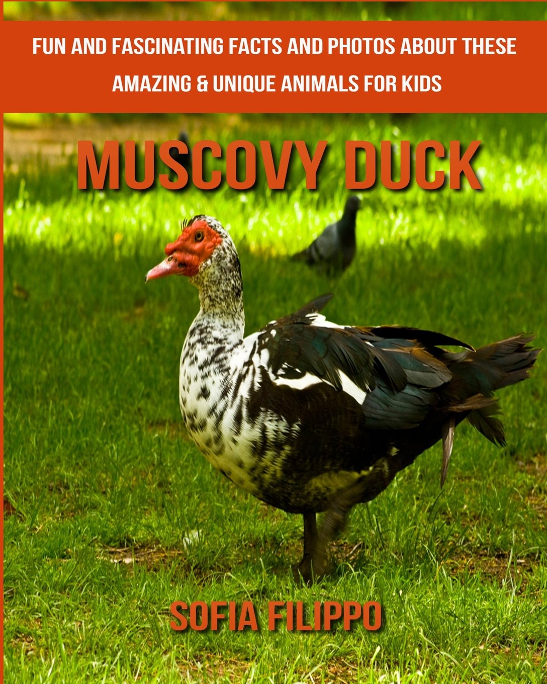 Muscovy Duck: Fun and Fascinating Facts and Photos about These Amazing &  Unique Animals for Kids Paperback – December 9, 2017