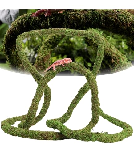 Amazon.com: Exo Terra Dripper Plant, Small : Patio, Lawn & Garden