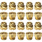 CQSPMOTO Holley Carburetor Main Jet for Carburetor 1/4-32 Gas Main Jet Assortment Kit 60 61 62 63 64 65 66 67 68 69 Holley Quick Fuel Jet, 2 pcs per size, 10 sets in total, Thread size: 1/4"-32