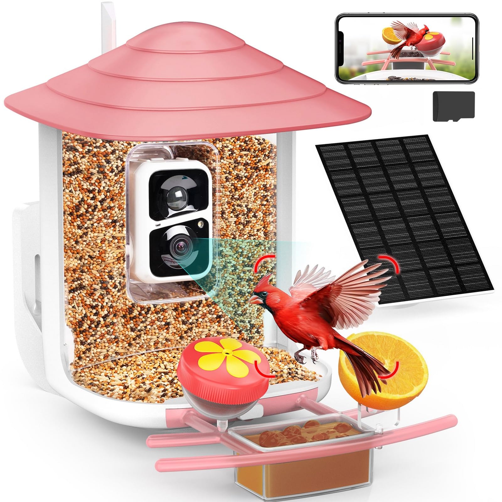 birdsnap® TUC- Smart Bird Feeder with Camera+Solar