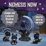 Nemesis Now Sooky Black Cat & Crescent Moon Figurine 11.5cm Resin view 7