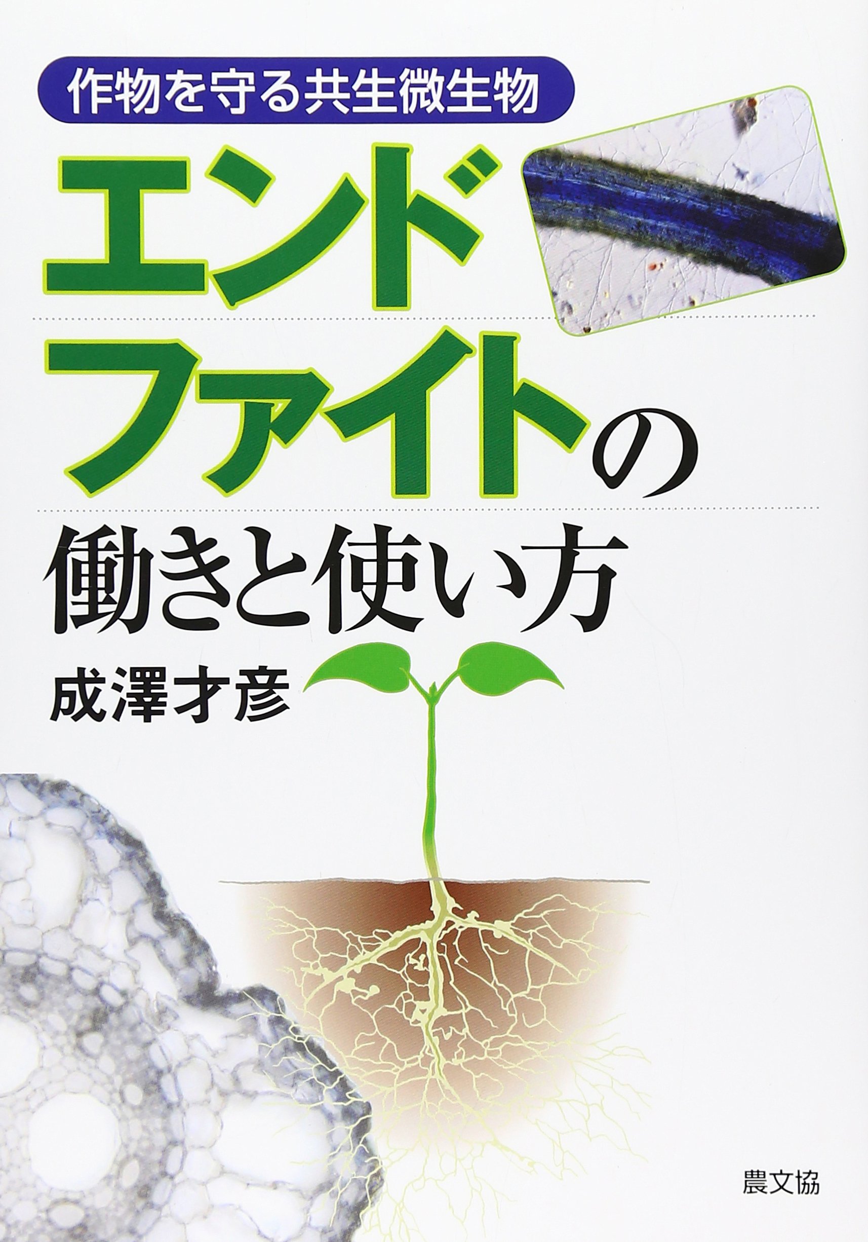 エンドファイトの働きと使い方 作物を守る共生微生物 成澤 才彦 本 通販 Amazon