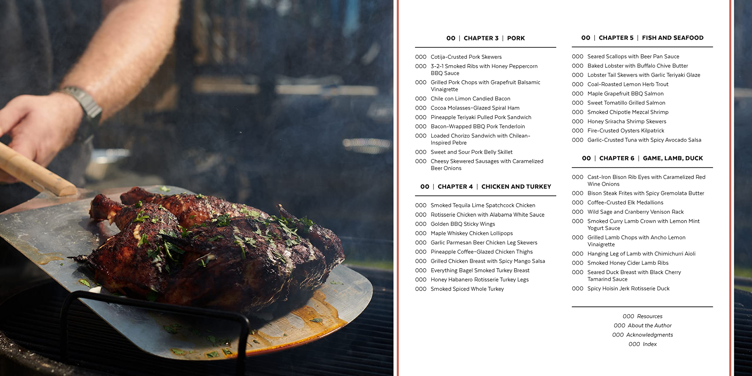 Flavor by Fire: Recipes and Techniques for Bigger, Bolder BBQ and Grilling