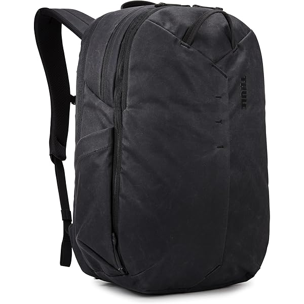 Amazon.com | Patagonia Refugio Day Pack 47928 BLK Backpack