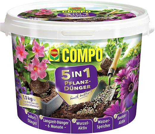 Compo – Maceta (5 en 1 de Abono y más 1, 5 kg, Lila, 19 x 19 x ...