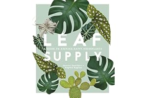Leaf Supply: A Guide to Keeping Happy House Plants