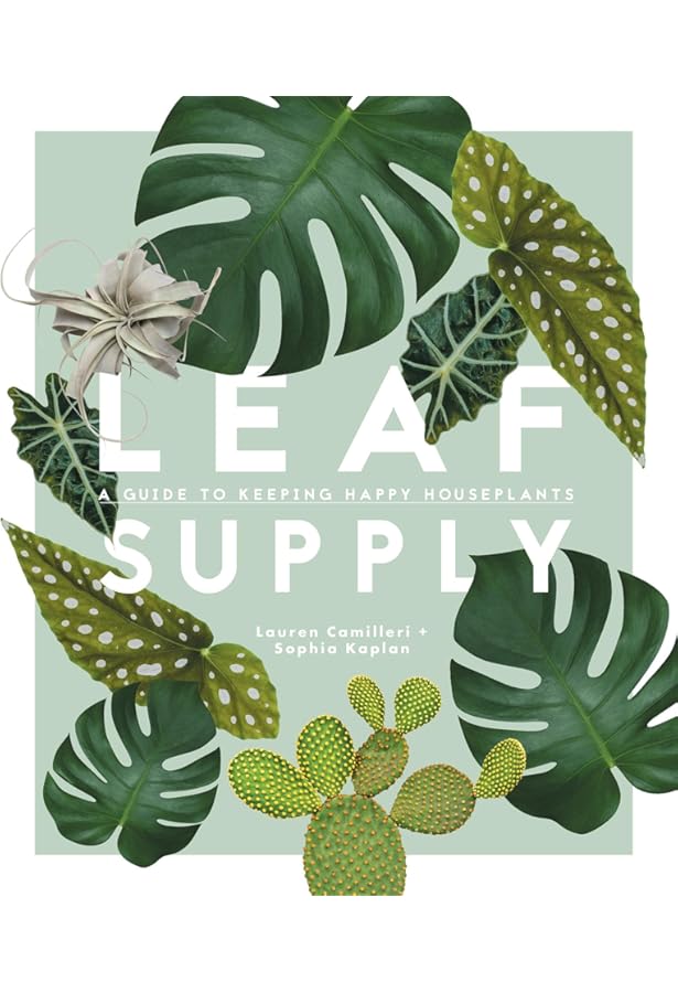 The Leaf Supply Guide to Creating Your Indoor Jungle: Camilleri