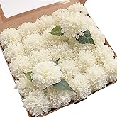 Floroom Artificial Dahlia Flowers 25pcs Real Looking Ivory Foam Fake Roses with Stems for DIY Wedding Bouquets White Bridal Shower Centerpieces Floral Arrangements Party Tables Home Decoration
