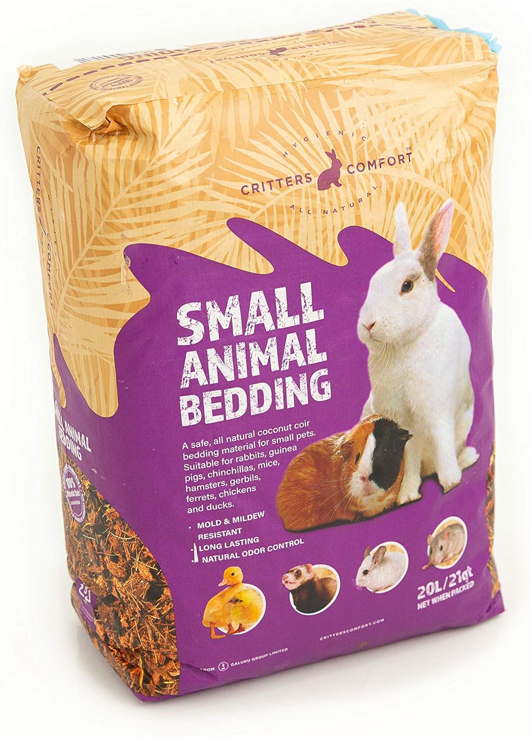 guinea pig odor control