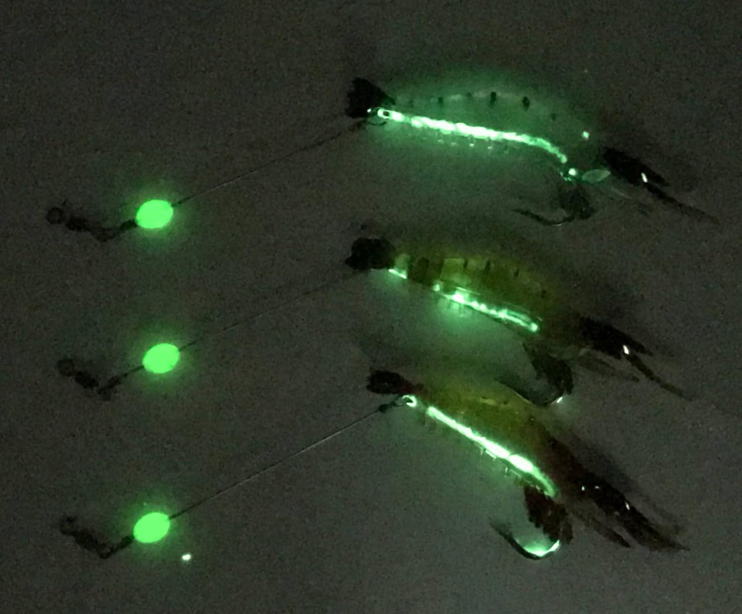 10pcs Shrimp Bait Set - Plastic Shrimp Fishing Lures - Soft Lures Luminous Fishing Lure with Sharp Hook Fishing Tackles Shrimip : Sports & Outdoors