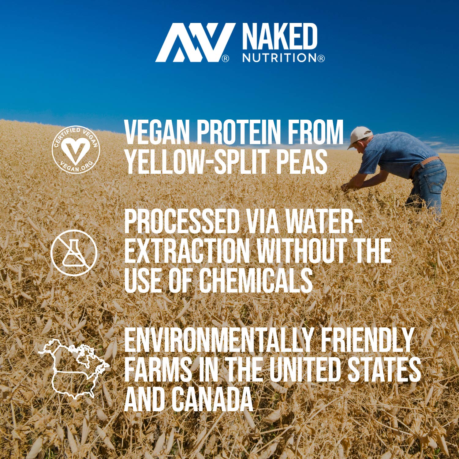 LESS NAKED PEA - VANILLA PEA PROTEIN - Pea Protein Isolate from North American Farms - 5lb Bulk, Plant Based, Vegetarian & Vegan Protein. Easy to Digest, Non-GMO, Gluten Free, Lactose Free, Soy Free: Grocery & Gourmet Food