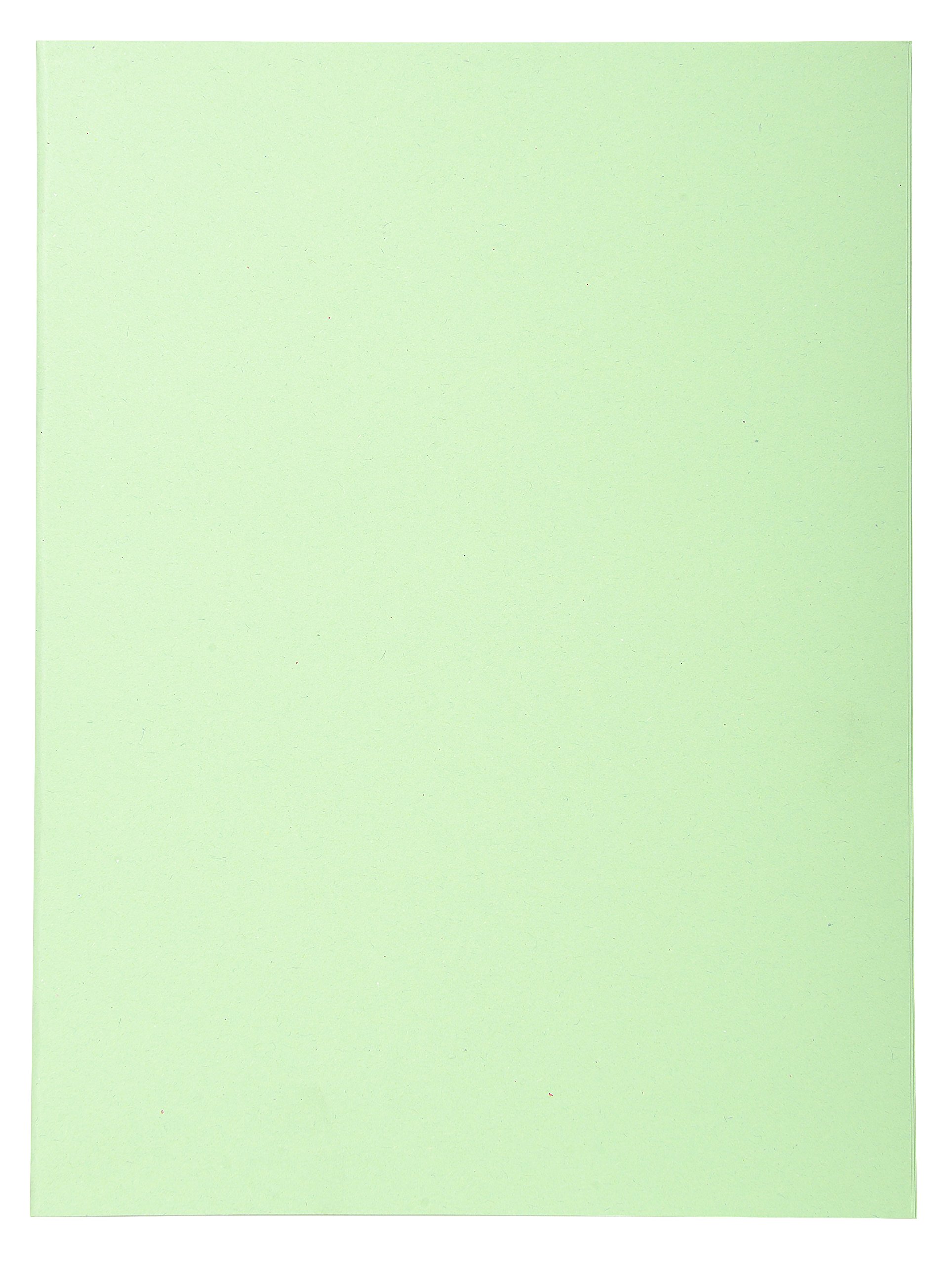 Exacompta - Ref 420213E - Forever Collection - Recycled Square Cut Folder - 240 x 320mm, 170gsm Recycled Board, Blue Angel Certified - Light Green (Pack of 50)
