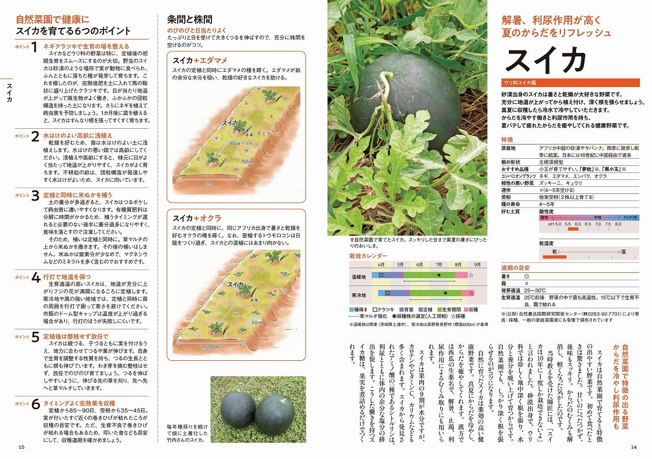 ゼロから始める無農薬栽培 自然菜園で育てる健康野菜 Amazon Com Books