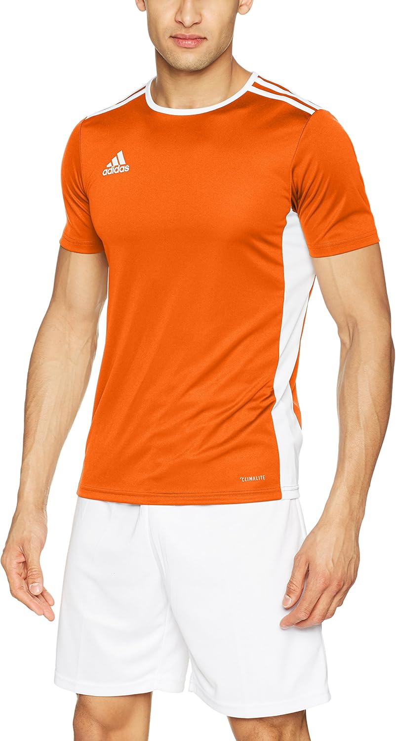 magliette adidas bambino marrone