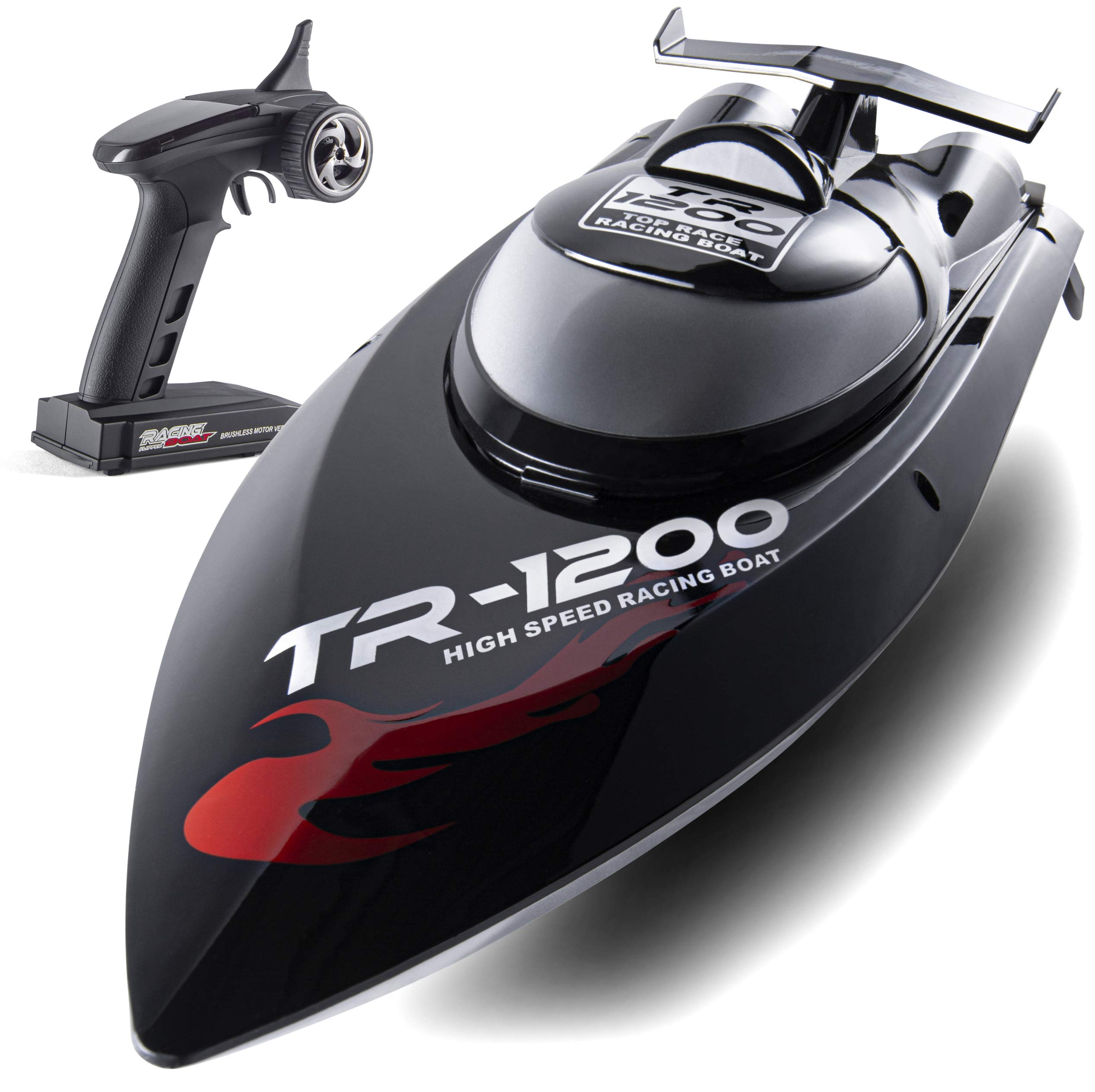 professional rc racing