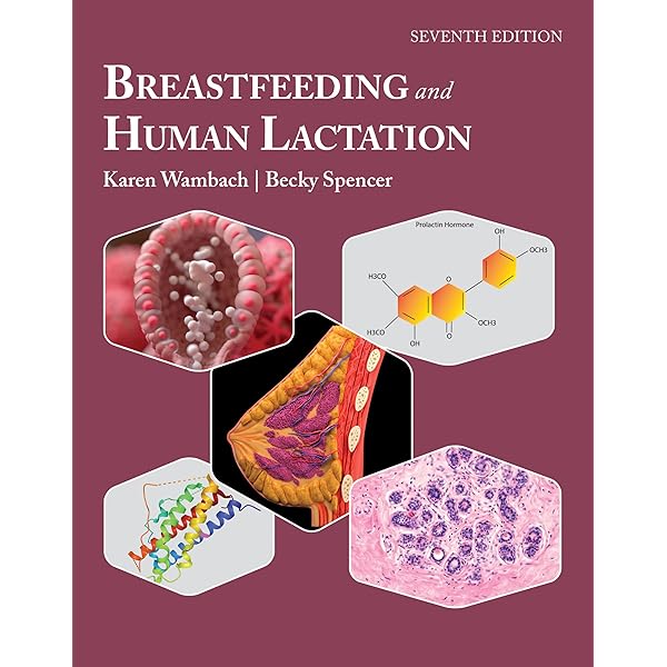 Amazon.com: Comprehensive Lactation Consultant Exam Review eBook