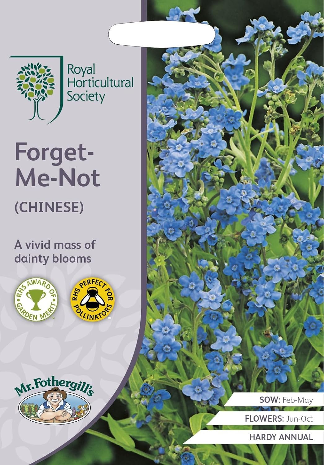 Mr Fothergills Flower Rhs Forget Me Not Chinese 300 Seeds Amazon Co Uk Garden Outdoors