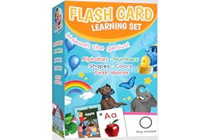 ZETZ BRANDS Teacher Rachel's Flashcard Set - First Words, Alphabet, Colors, Shapes, and Numbers - Pre K-K Educational Pocket Flashcards for Toddlers - Hole-Punched Cards with Ring Included
