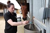NAF Five Star Superflex 400g Joint Supplement for Horses view 7
