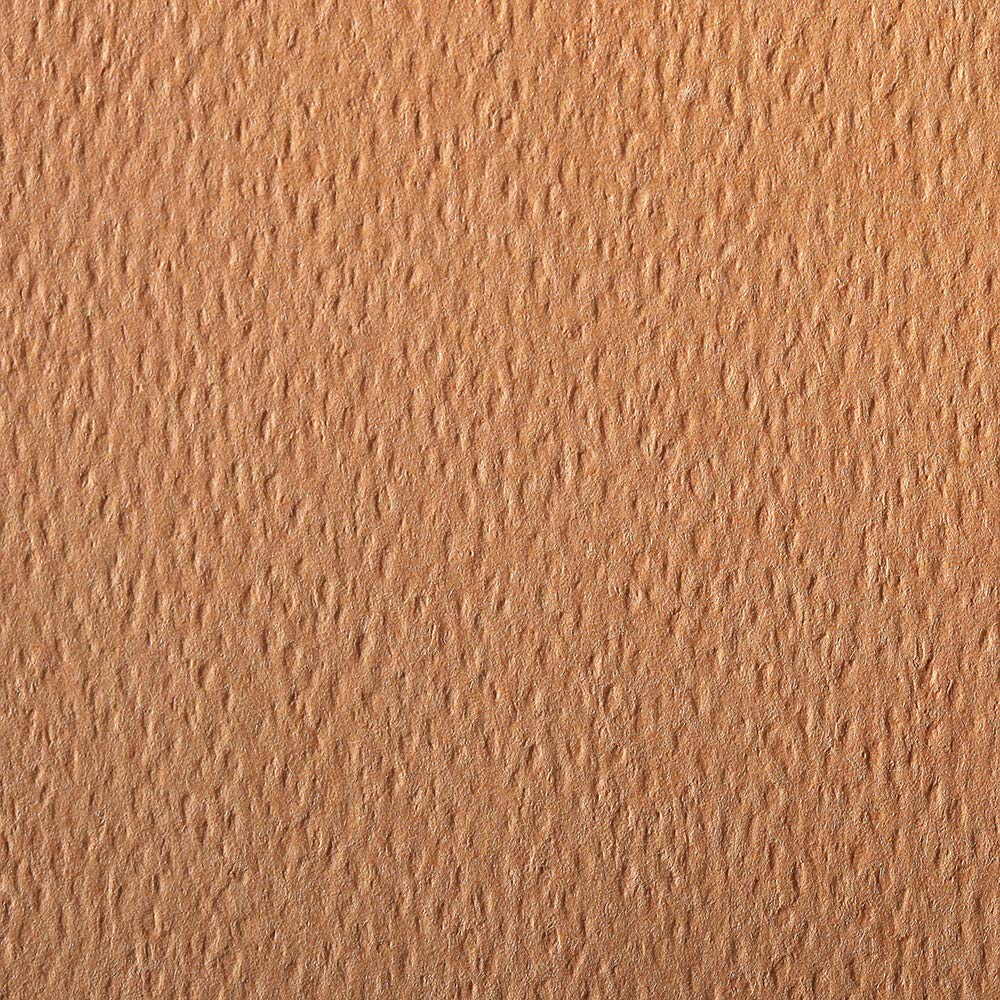 Clairefontaine - Ref 93887C - Etival Coloured Grained Drawing Paper (Pack of 25 Sheets) - A4 (29.7 x 21cm) - 160gsm Cellulose Art Paper - Salmon - Acid Free, pH Neutral