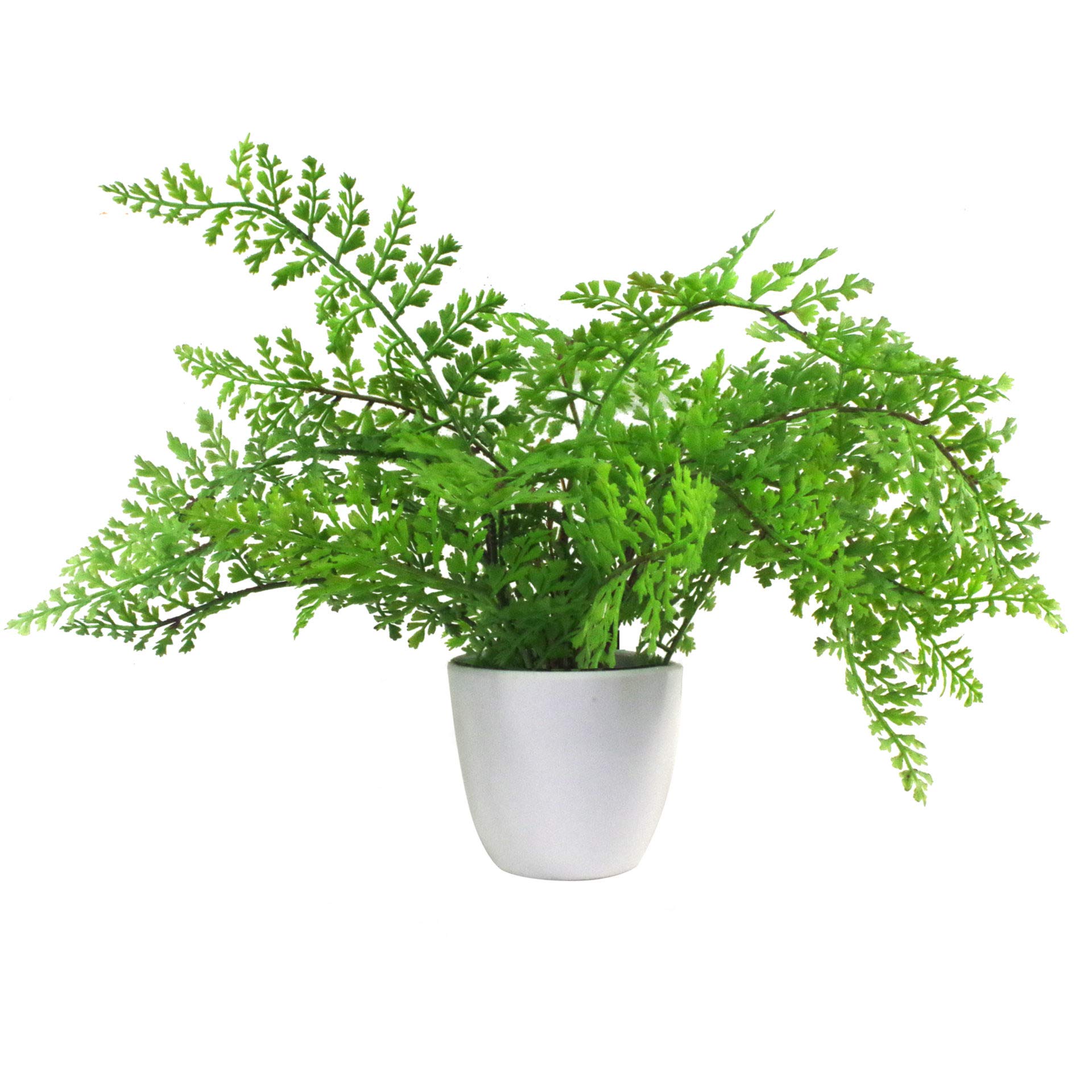 Leaf Artificial Fern Plant with Pot