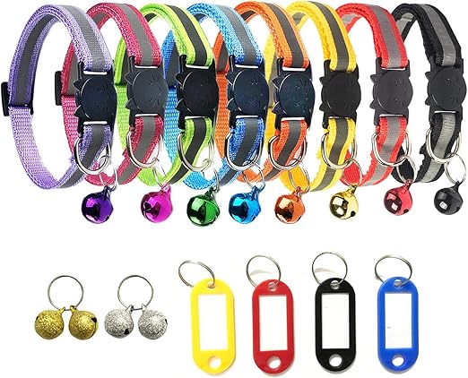 cat collars and tags