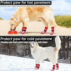 EXPAWLORER Anti Slip Dog Socks to Prevent Licking