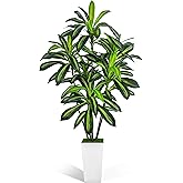 KOPWVA Artificial Dracaena Tree 6FT, 6 Feet Tall Fake Tree for Home Decor Indoor with Modern Style Planter, Artificial Silk Tree for Home Office Living Room Decor Indoor, Lifelike & Lush (White)