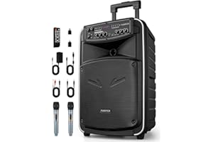 HEARTSEA Portable PA Speaker System with Wireless Microphone, 12 inch woofer Bluetooth Rechargeable Karaoke Machine for Meetings, Outdoors, Classroom, FM/LINE in/TWS (12 INCH)