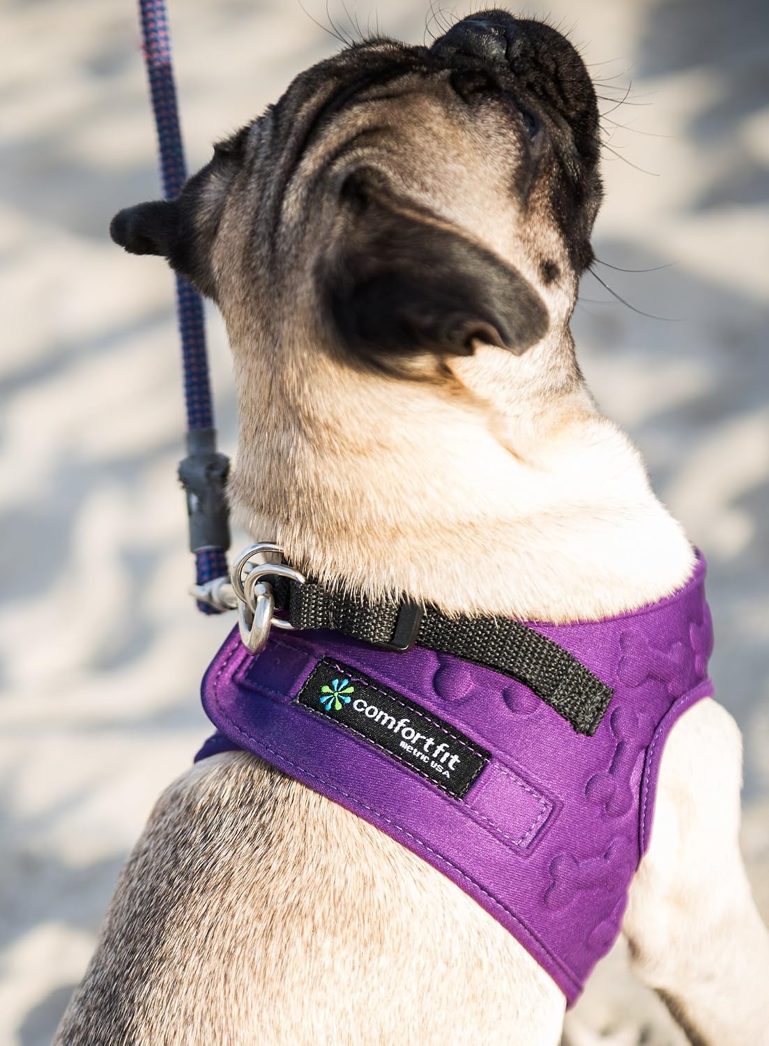 Metric USA Comfort Fit Step in Dog Vest Harness Easy to Put on Take Off Adjustable Soft Padded Puppy Harness Vest for Small and Medium Dogs (Small - Image 5