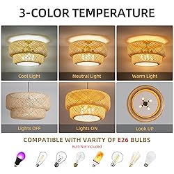 Teru Ji Kaikang 23.62" Bamboo Pendant Light,4-Light