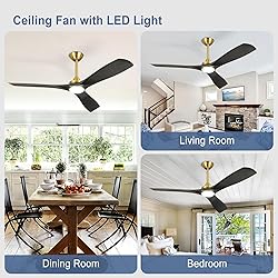 BvenuBigLite Modern Ceiling Fan with Light: Black