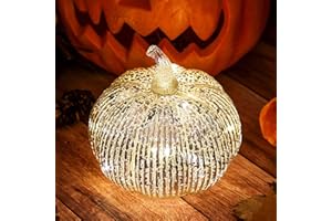hvfun Mercury Glass Light Up Pumpkin with Timer, Fall Decoration for Home, Silver Halloween Festive Decor Lamp