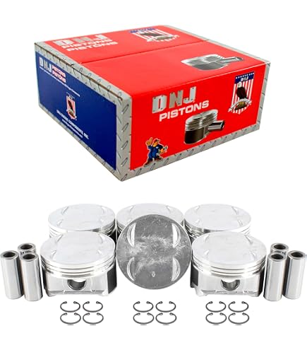 Amazon.com: DNJ PRK268 Piston and Ring Kit For 2008-2011 Honda
