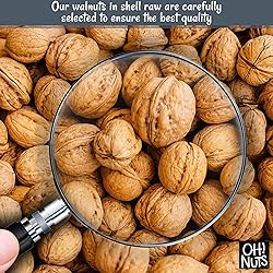 Oh! Nuts Walnuts in Shell - Raw - 100% Natural - 2