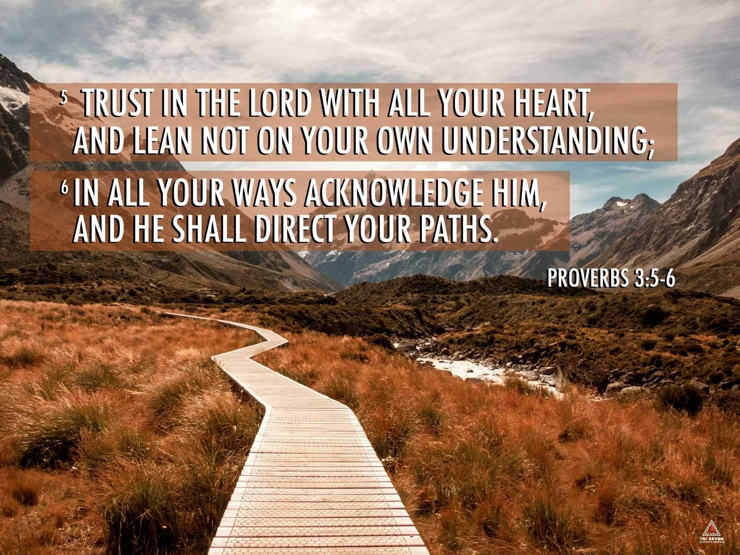Amazon Com Proverbs 3 5 6 Poster Trust In The Lord Bible Verse Quote Wall Art 24x18 Posters Prints