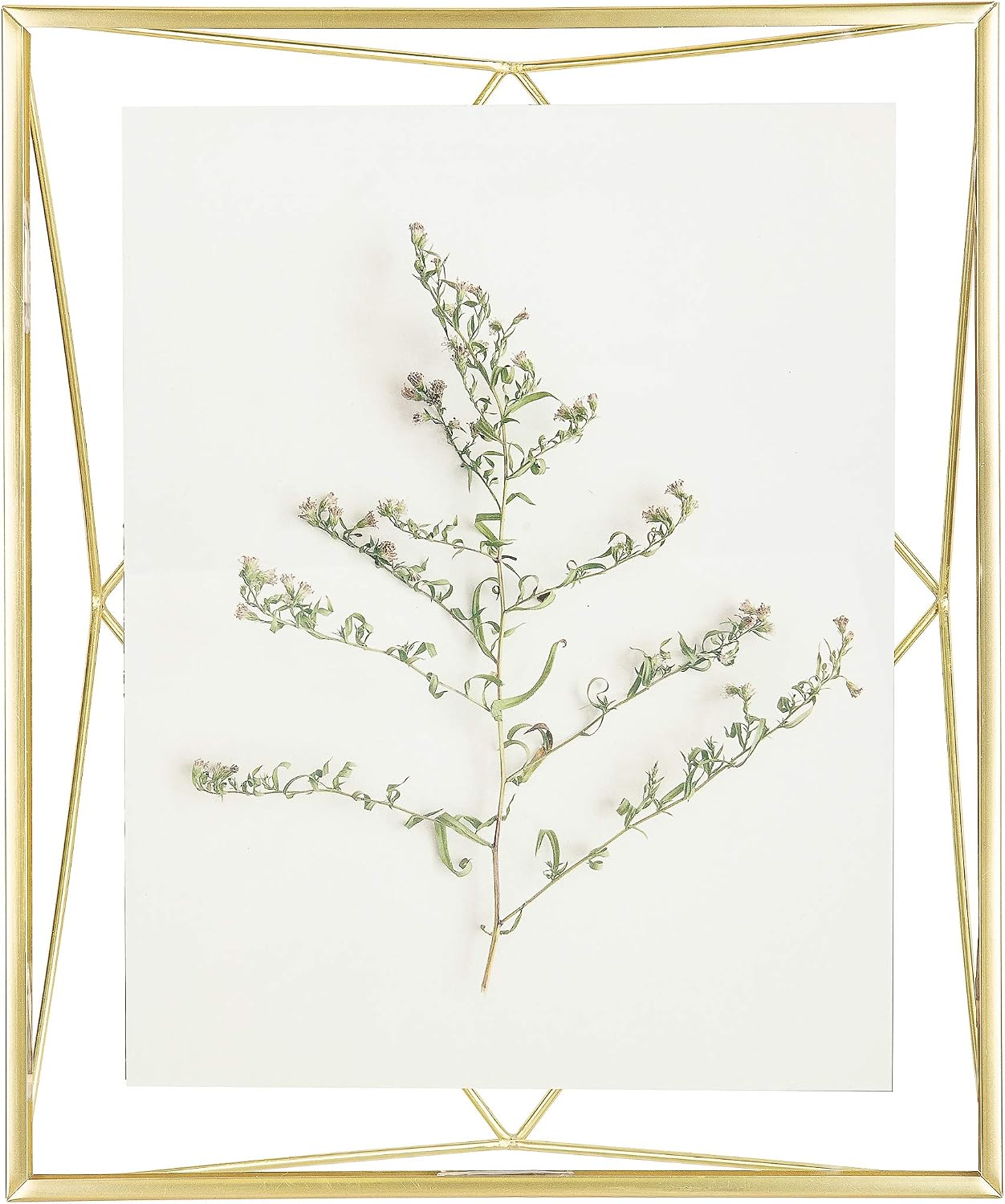 Umbra Prisma 8x10 Picture Frame, Metal Floating Wall or Desk Photo Display for Pictures Art, Illustrations, and More, Brass - Image 5