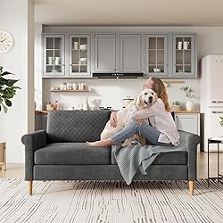 Vesgantti 65" Gray Loveseat, Comfy Mid-Century