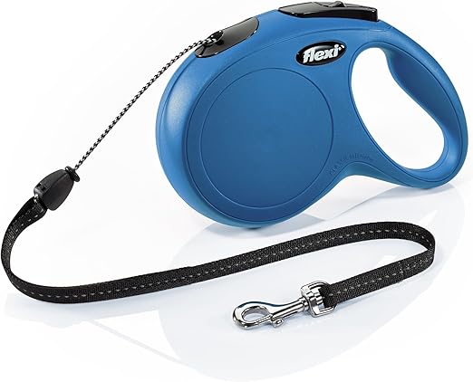 christmas cavalier king charles spaniel