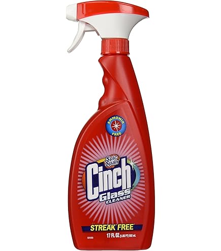 Amazon.com: Spic And Span Cinch Glass Cleaner, 17 oz (Pack of 2