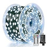 BrightChristmas Christmas Lights with 600 LED 196