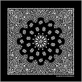 Hav-A-Hank Black Paisley Bandanna, Made in USA, 22in by 22in