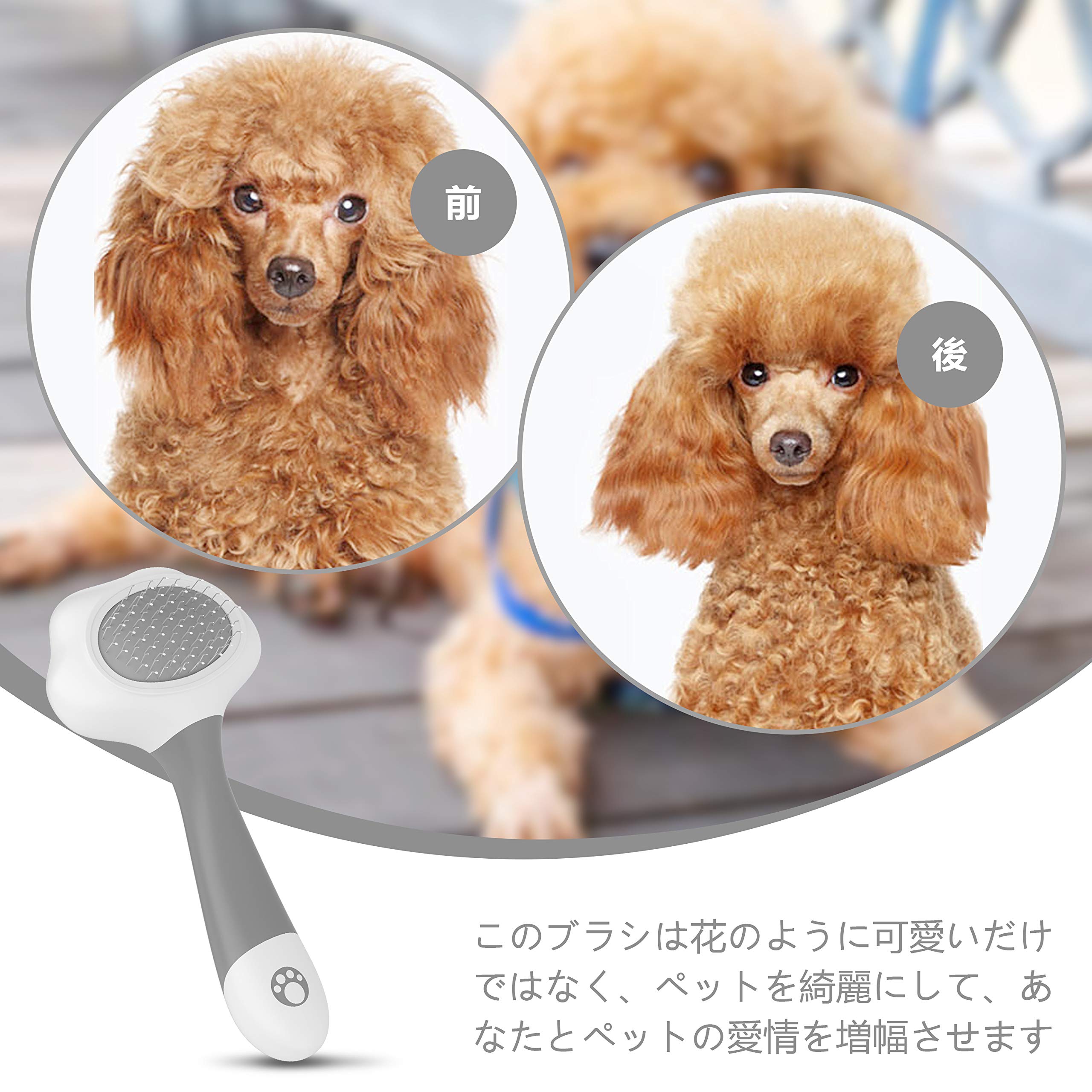 Mua Laika 新型 ペットブラシ 猫 犬ブラシ 毛取りコーム マッサージブラシ セルフクリーニング お手入れ ブラッシング グルーミング 抜け毛除去 小型犬 スリッカー 高級ソフトタイプ ステンレス ペット用品 Tren Amazon Nhật Chinh Hang 21 Fado