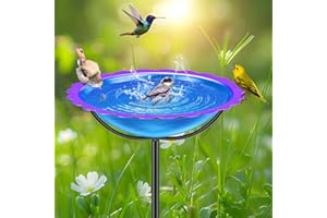 Metal Bird Bath for Outdoors Garden Birdbath Bowl, Freestanding Bird Feeders for Outside with 4 Prongs Base Stake, Standing B