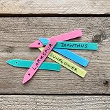 Bosmere Tildenet 4 inch Plastic Plant Labels Multi-Color 100mm Rot Proof view 4