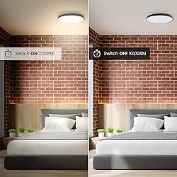 Feit Electric Smart Ceiling Light