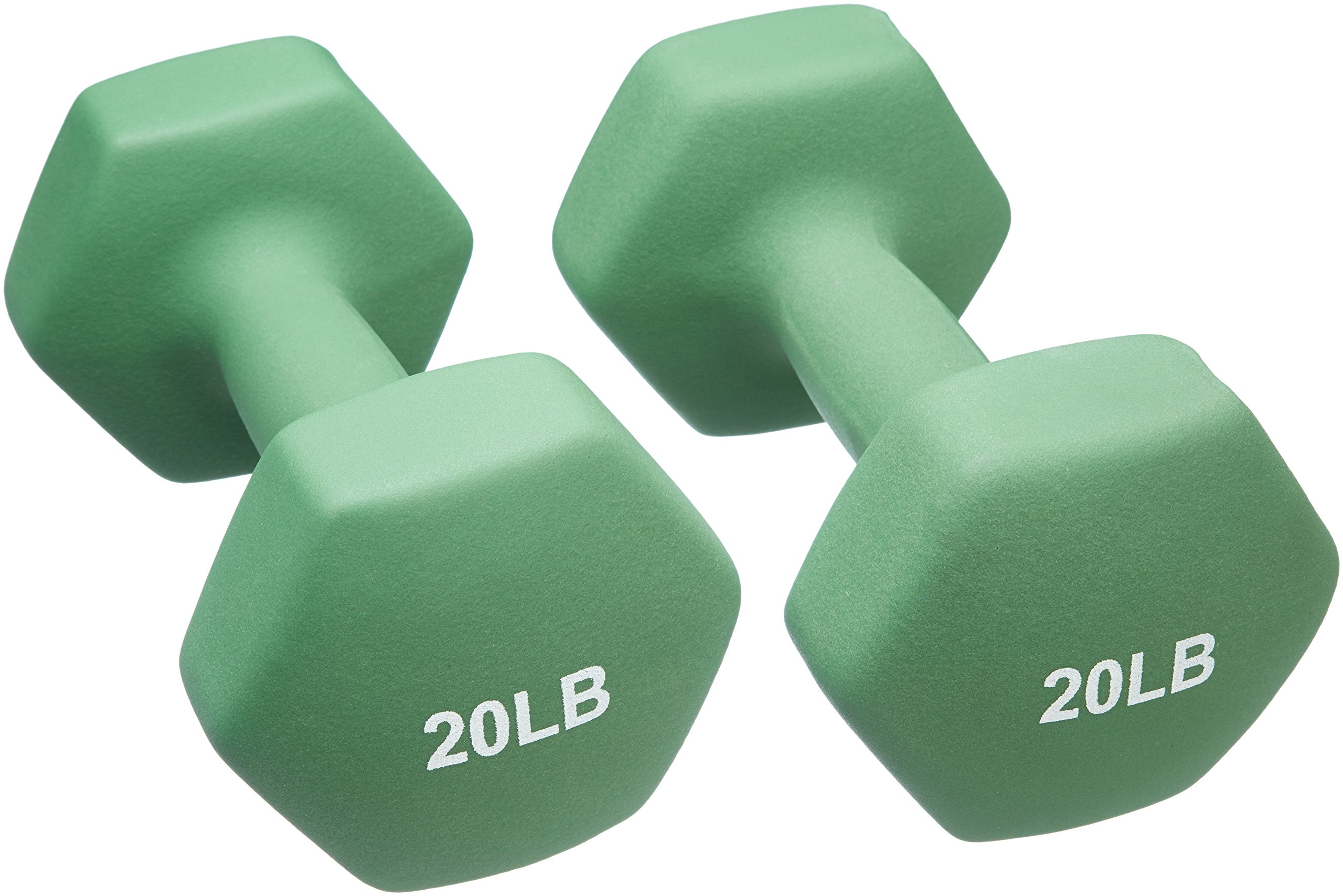Amazon Basics Neoprene Coated Dumbbell Hand Weight Set Buy Online in