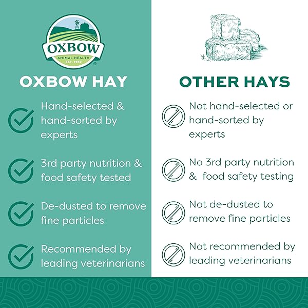 OXBOW ANIMAL HEALTH WESTERN TIMOTHY HAY, BUNNY FOOD, ALL NATURAL HAY FOR RABBITS, GUINEA PIG, CHINCHILLAS, HAMSTERS & GERBILS, RABBIT TREATS, VETERINARIAN RECOMMENDED, 15 OZ.
